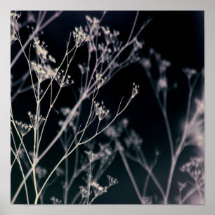 Elegant Dark Floral Abstrakt Poster