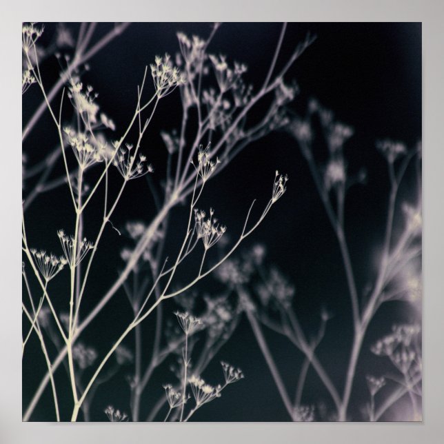 Elegant Dark Floral Abstrakt Poster (Vorne)