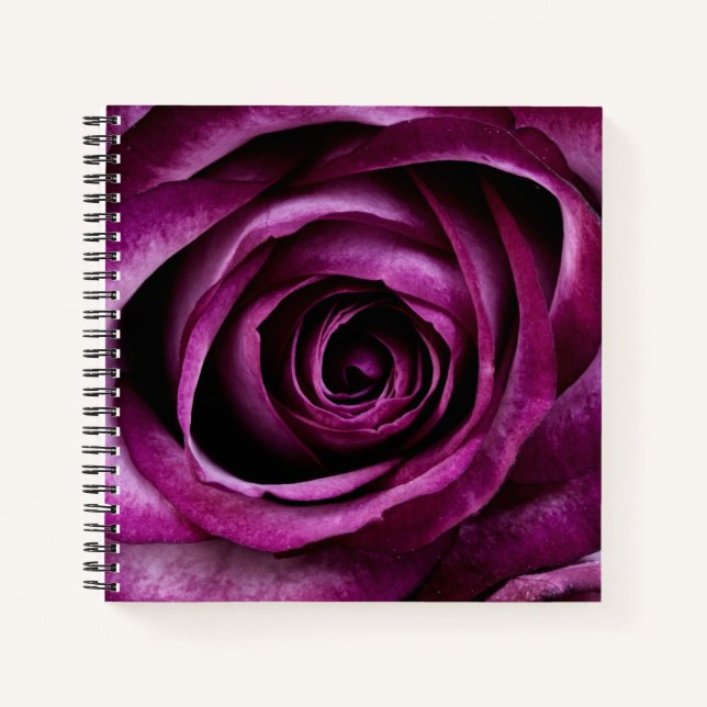 Elegant Dark Purple Rose Notizbuch (Vorderseite)