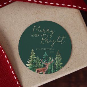 Elegant Deer Christmas Family Name Runder Aufkleber