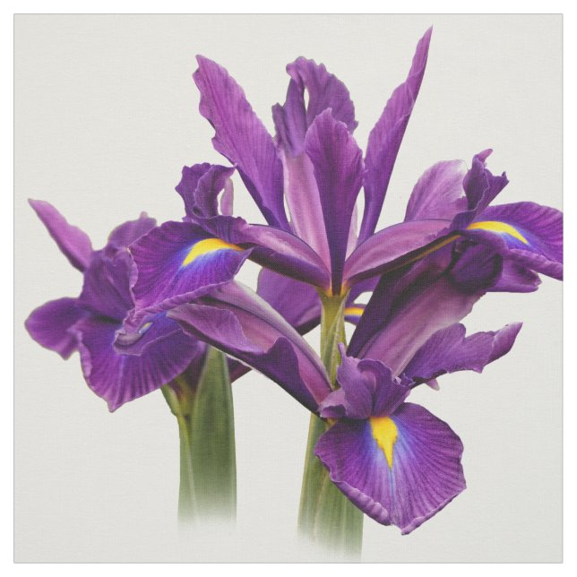 Elegant Dutch Iris Lila Sensation Stoff (Muster)