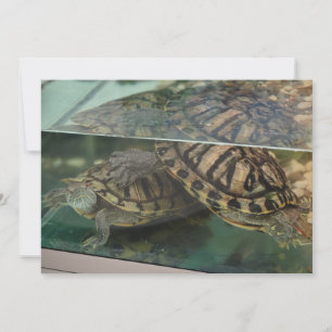 Elegant Earthy Turtles Water Reflection Card Einladung