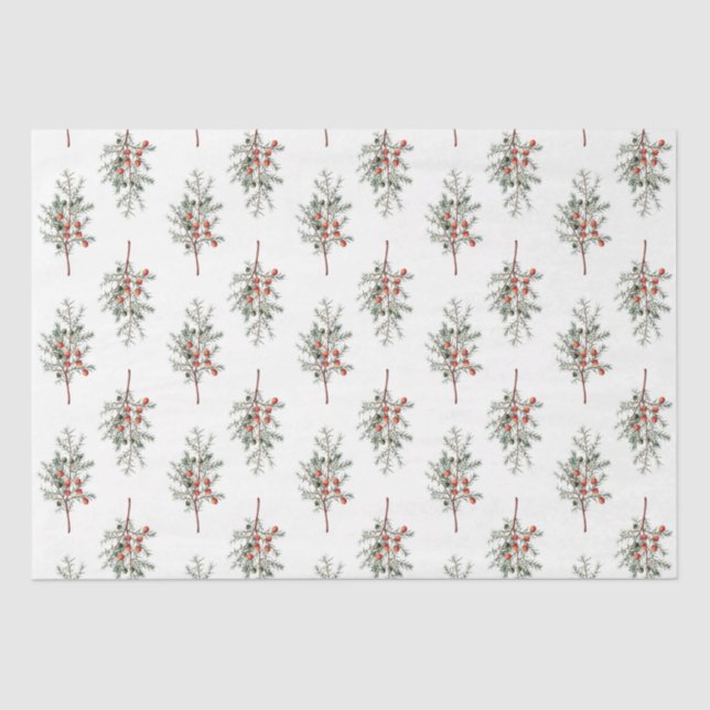 Elegant Evergreen Branches Scandi Tissue Paper Seidenpapier (Vorderseite)