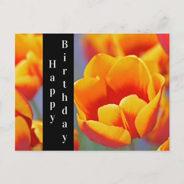 Elegant Gelb und Rot Tulip Happy Birthday Postkarte (Vorderseite)