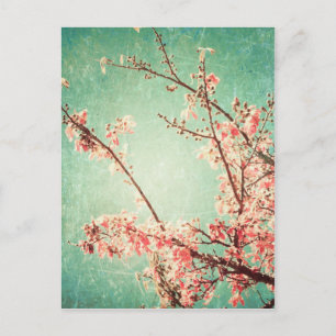 Elegant getragenes Vintage Teal Holz & Kirschblüte Postkarte