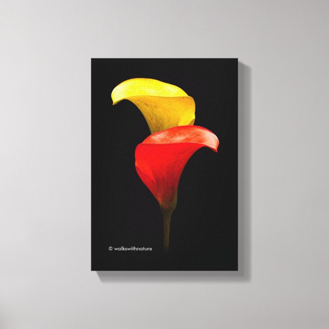 Elegant Gold und Crimson Calla Lilies Leinwanddruck (Vorderseite)