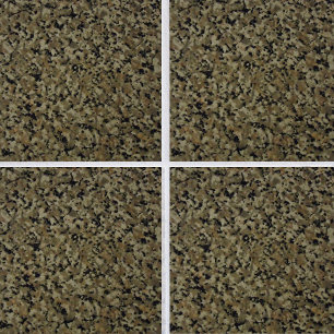 Elegant Granite Euphoria Fliese