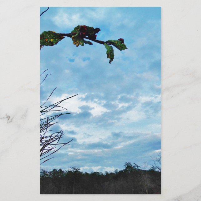 Elegant Holly Christmas, blauer Himmel (Vorderseite)