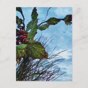 Elegant Holly Christmas, blauer Himmel Feiertagspostkarte