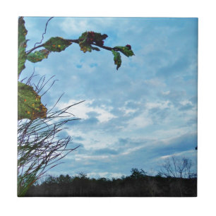 Elegant Holly Christmas, blauer Himmel Fliese