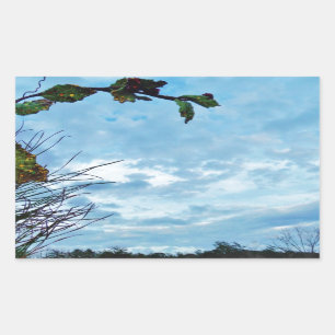 Elegant Holly Christmas, blauer Himmel Rechteckiger Aufkleber