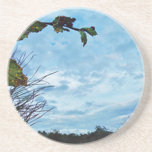 Elegant Holly Christmas, blauer Himmel Sandstein Untersetzer (Vorne)