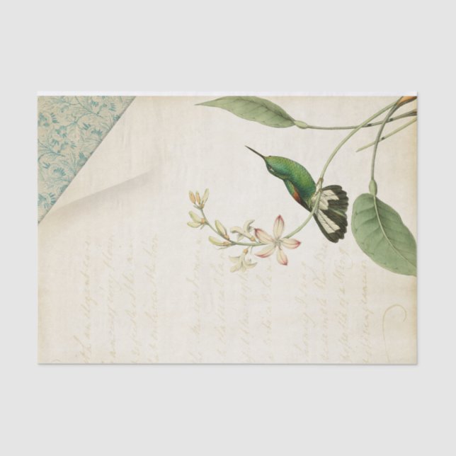 Elegant Hummingbird Ephemera Seidenpapier (Vorderseite)