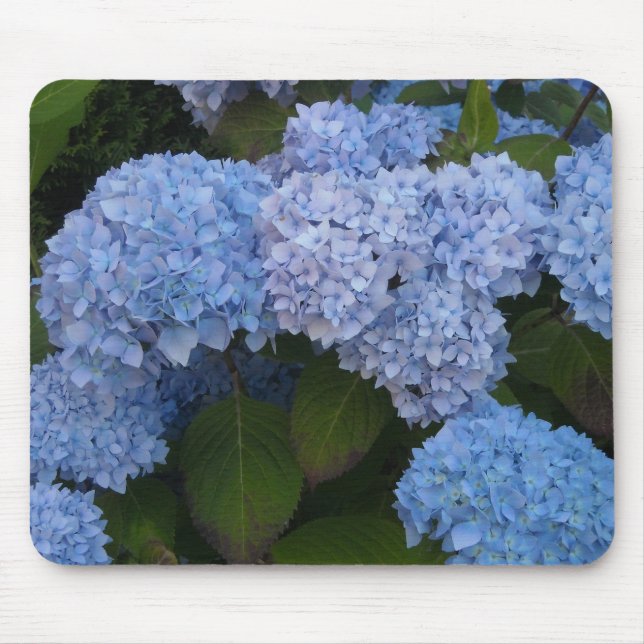 Elegant Hydrangeas Mousepad (Vorne)