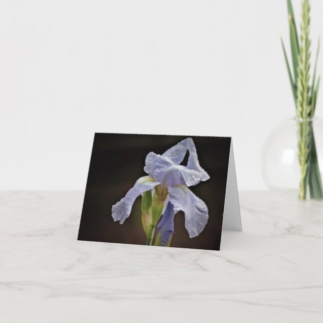 Elegant Iris Note Card Karte (Vorderseite)
