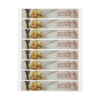 Elegant Ivory Yellow Roses Wrap Address Labels Rundum-Adressaufkleber