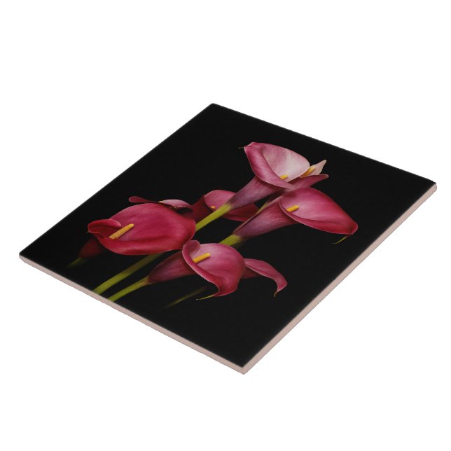 Elegant Lila Calla Lilies Fliese (Seite)
