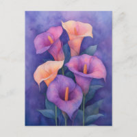 Elegant Lila Calla Lilies