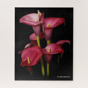 Elegant Lila Calla Lilies Puzzle