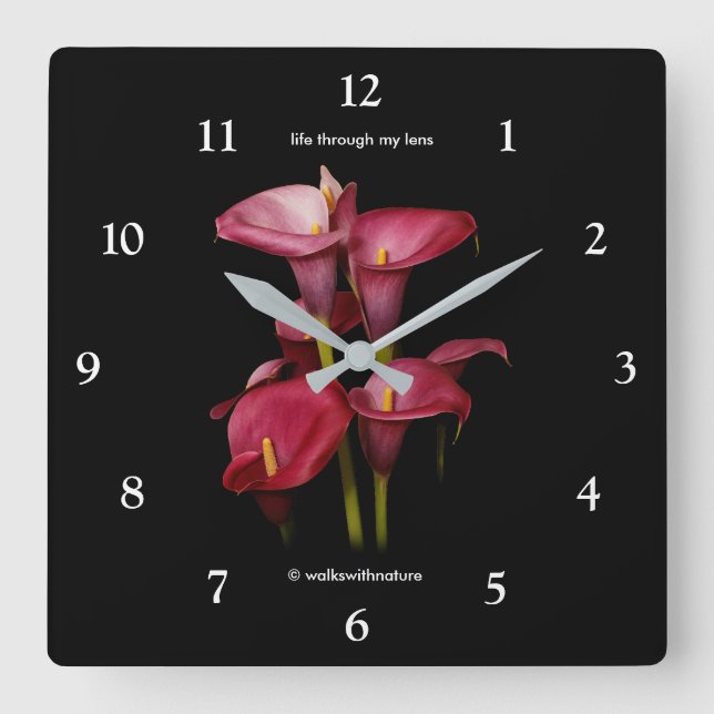 Elegant Lila Calla Lilies Quadratische Wanduhr (Vorderseite)