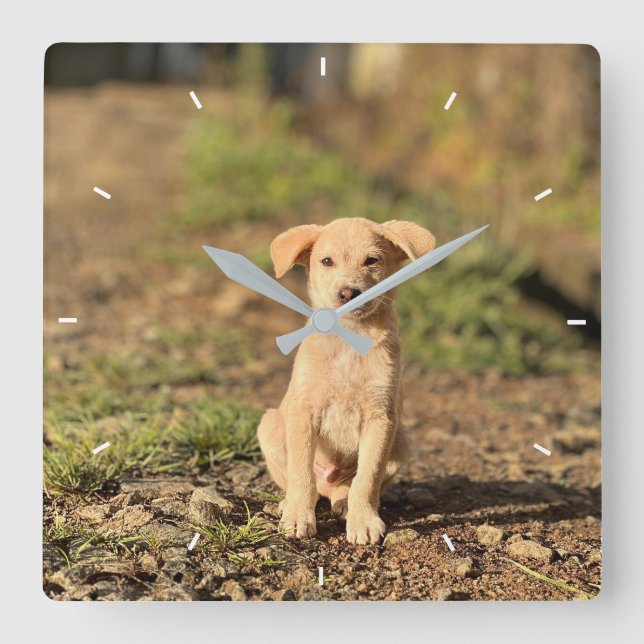 Elegant Modern Custom Wall Clock Add Your Own  Quadratische Wanduhr (Vorderseite)