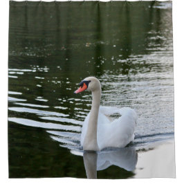 Elegant Mute Swan Duschvorhang