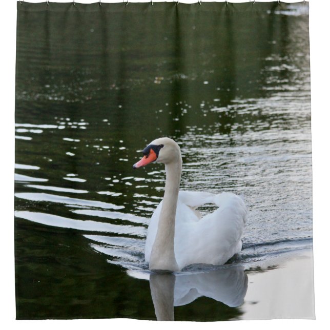 Elegant Mute Swan Duschvorhang (Vorderseite)