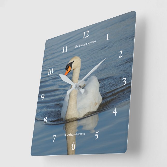 Elegant Mute Swan Waterbird am See Quadratische Wanduhr (Winkel)