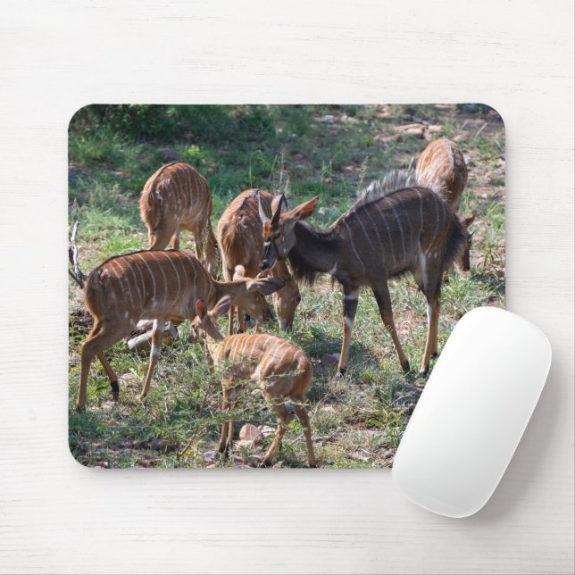 Elegant Nyala Antelope Wildlife Foto Mousepad (Mit Mouse)