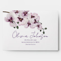 Elegant Orchid