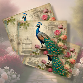 Elegant Peacock Birdcage Floral Ephemera Decoupage Seidenpapier