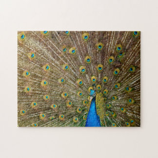 Elegant Peacock Schwanz Feathers Puzzle