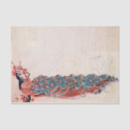 Elegant Peacock Seidenpapier