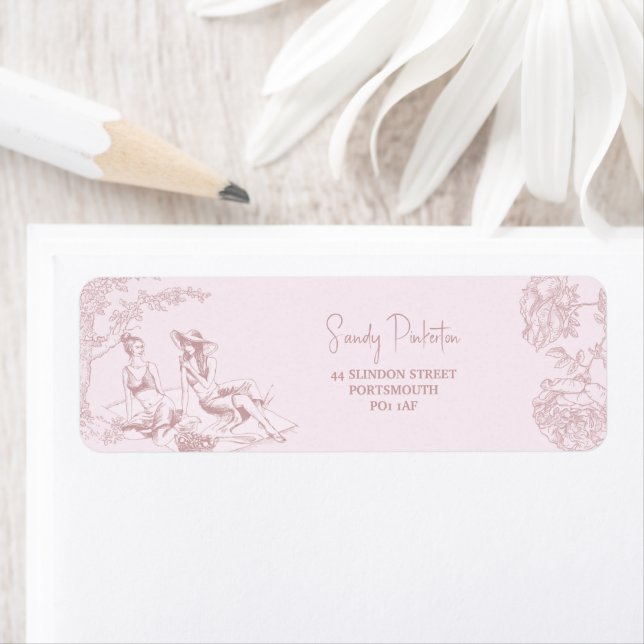 Elegant Pink Toile de Jouy Baby Shower Adresse (Insitu)