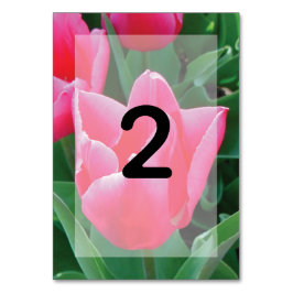 Elegant Pink Tulips Wedding Tischnummer