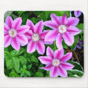 Elegant pinkfarben grün, botanisch mousepad