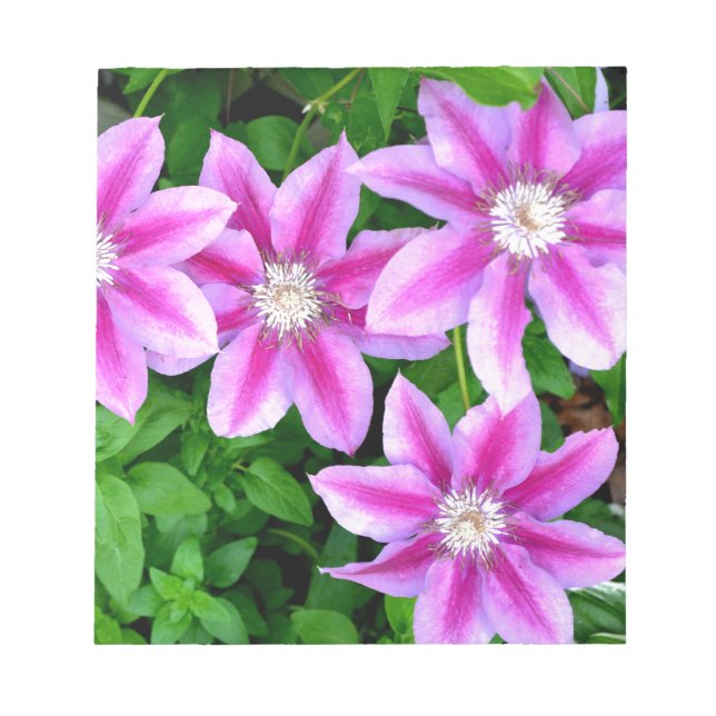 Elegant pinkfarben grün, botanisch notizblock (Vorderseite)