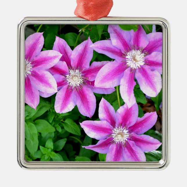 Elegant pinkfarben grün, botanisch silbernes ornament (Vorne)