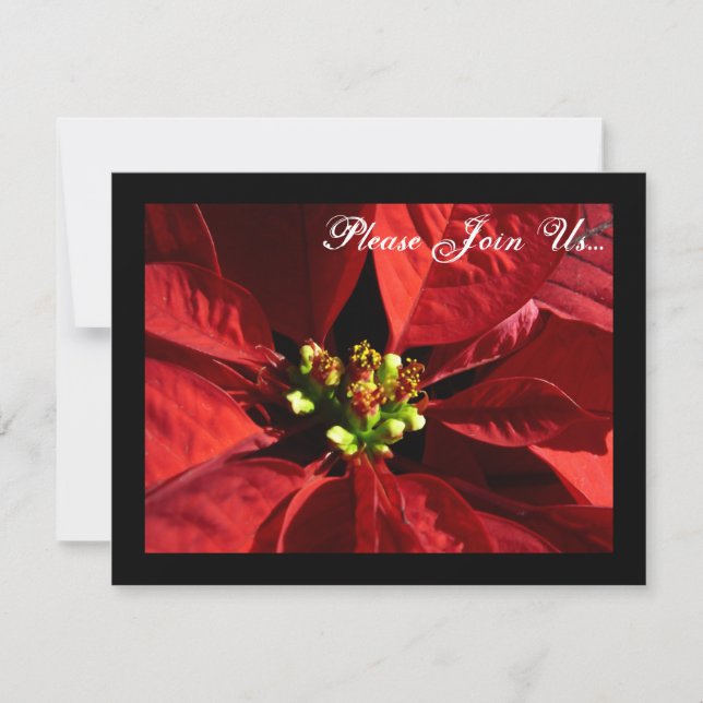 Elegant Poinsettia Weihnachten Einladungen (Vorderseite)
