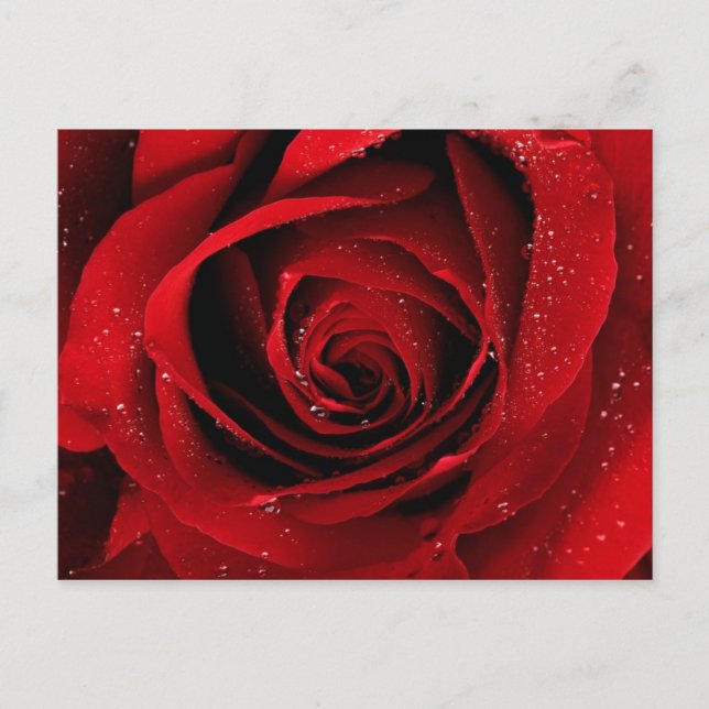 elegant postkarte (Vorderseite)