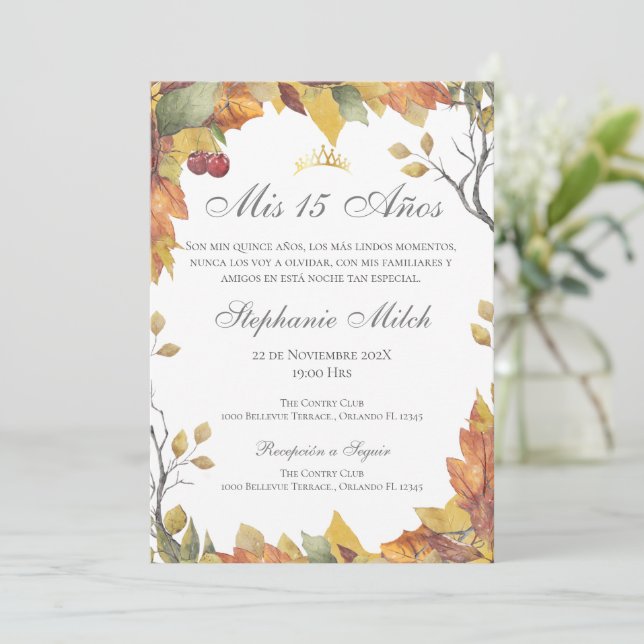 Elegant Quinceñera Einladung (Stehend Vorderseite)