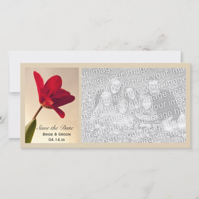 Elegant Red Tulip Wedding Save the Date (Vorderseite)