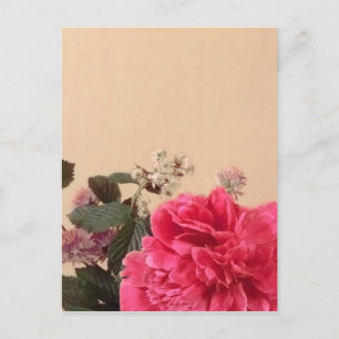 Elegant Rosa Creme Floral Postkarte