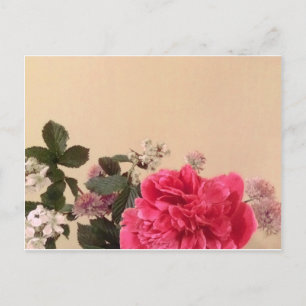 Elegant Rosa Creme Floral Postkarte