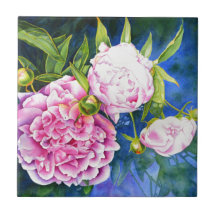 Elegant rosa, klassische Aquarellblüte