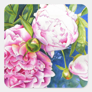 Elegant rosa, klassische Aquarellblüte Quadratischer Aufkleber