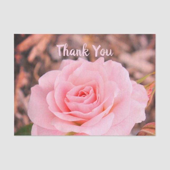 Elegant Rosa Rose Seidenpapier (Vorderseite)