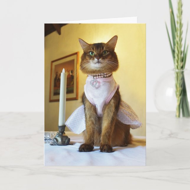 Elegant Somali Cat Einladung (Vorderseite)