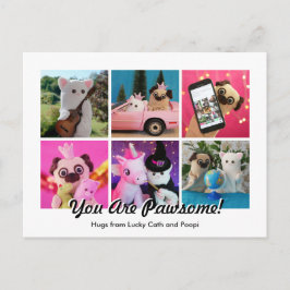 Elegant Stilvoll Einfach Personalisierte FotoColla Postkarte