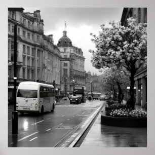 Elegant Street View Poster